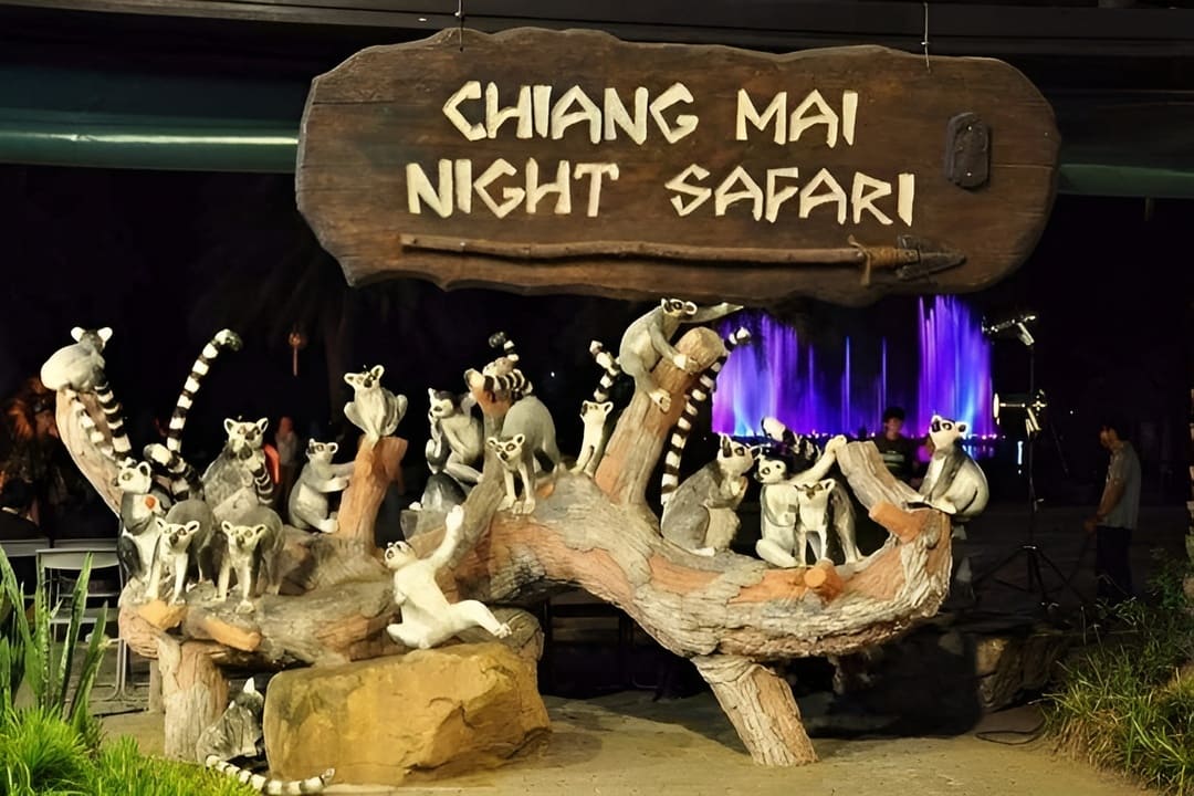 Book Chiang Mai Night Safari a must see attraction in Thailand at flyingcarpet.travel