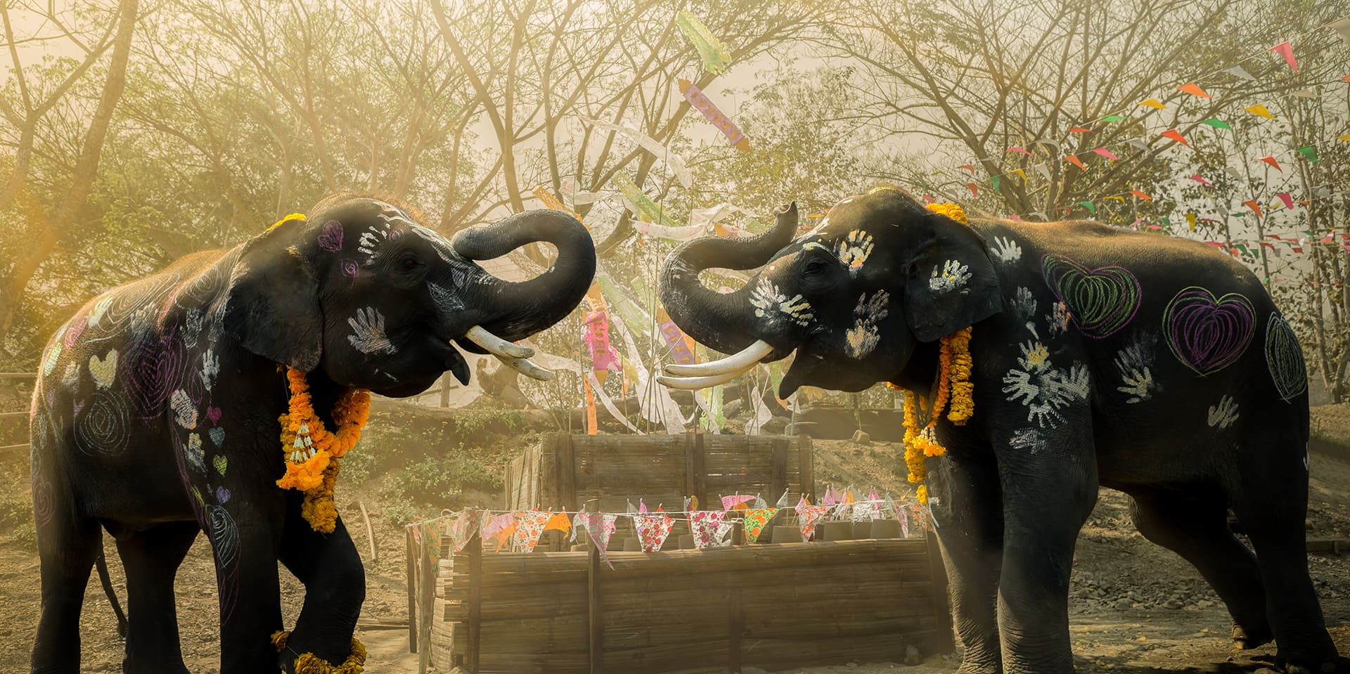 respecting elephants with handprints, a Songkran ritual