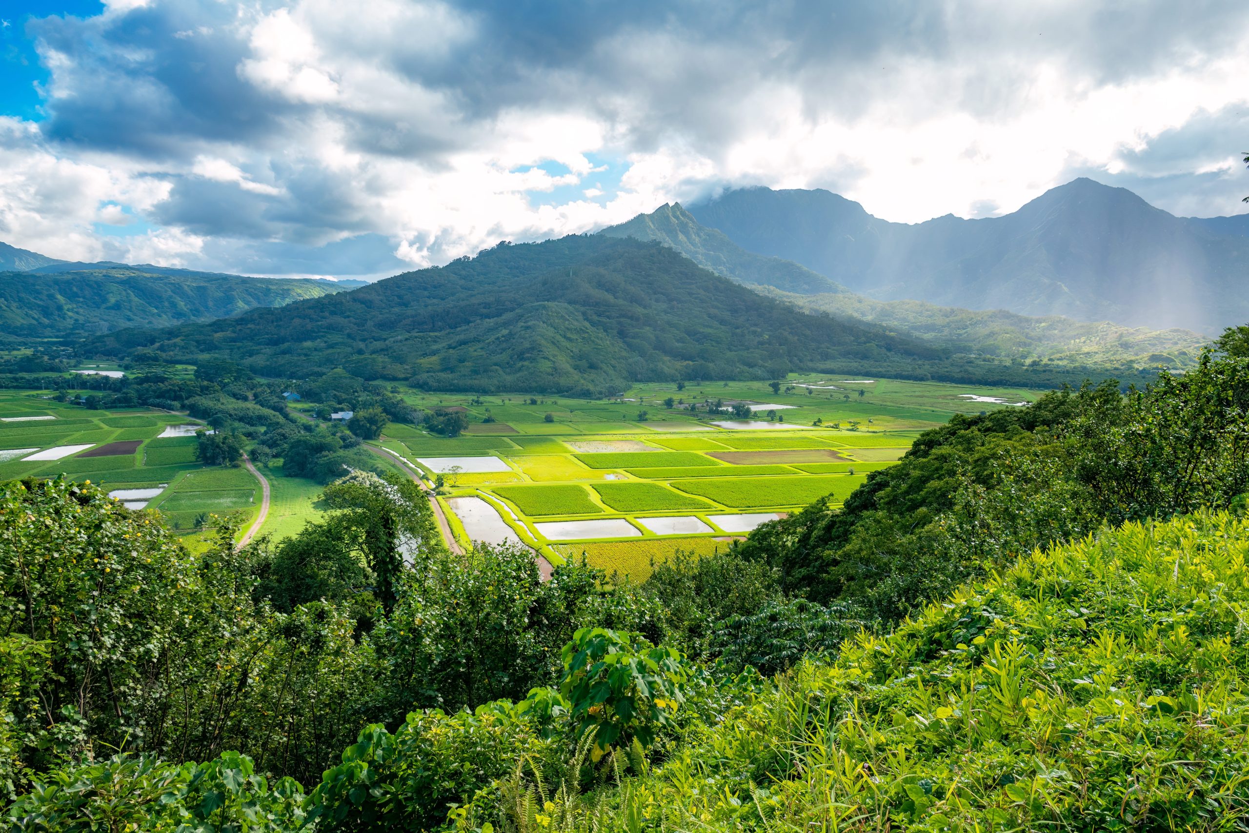 An-Interactive-Scavenger-Hunt-in-Hanalei-scaled.jpg