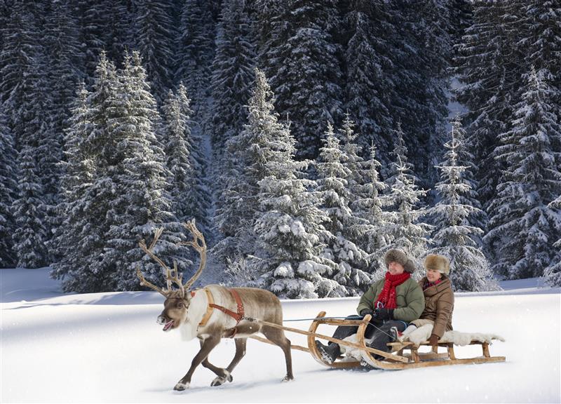 Reindeer-Sledding-in-Tromso.jpg